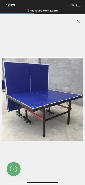 Outdoor Waterproof Table Tennis With Accessories