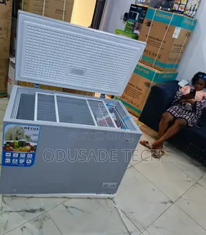 Nexus Nx-400 320l Chest Freezer for Home
