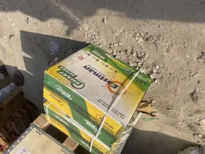 Eastman Tubular Battery 220ah