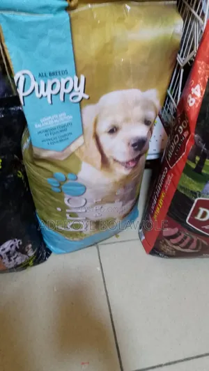 Vet Doctor (Dogs, Cats, Parrot, Rabbit)