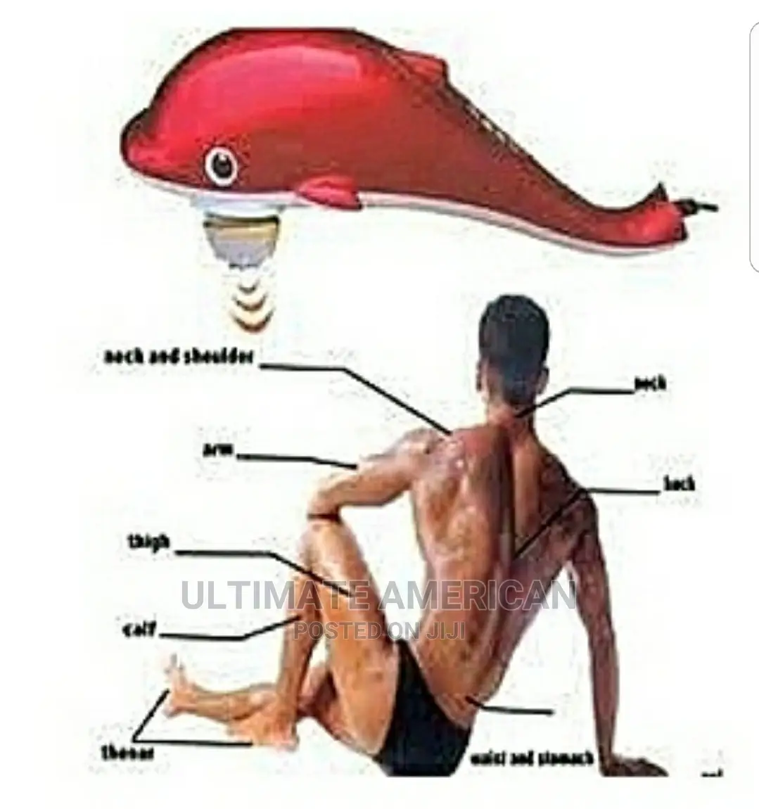 Universal Dolphin Shaped Infraredmassage