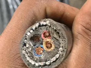 25mm 4core Coleman