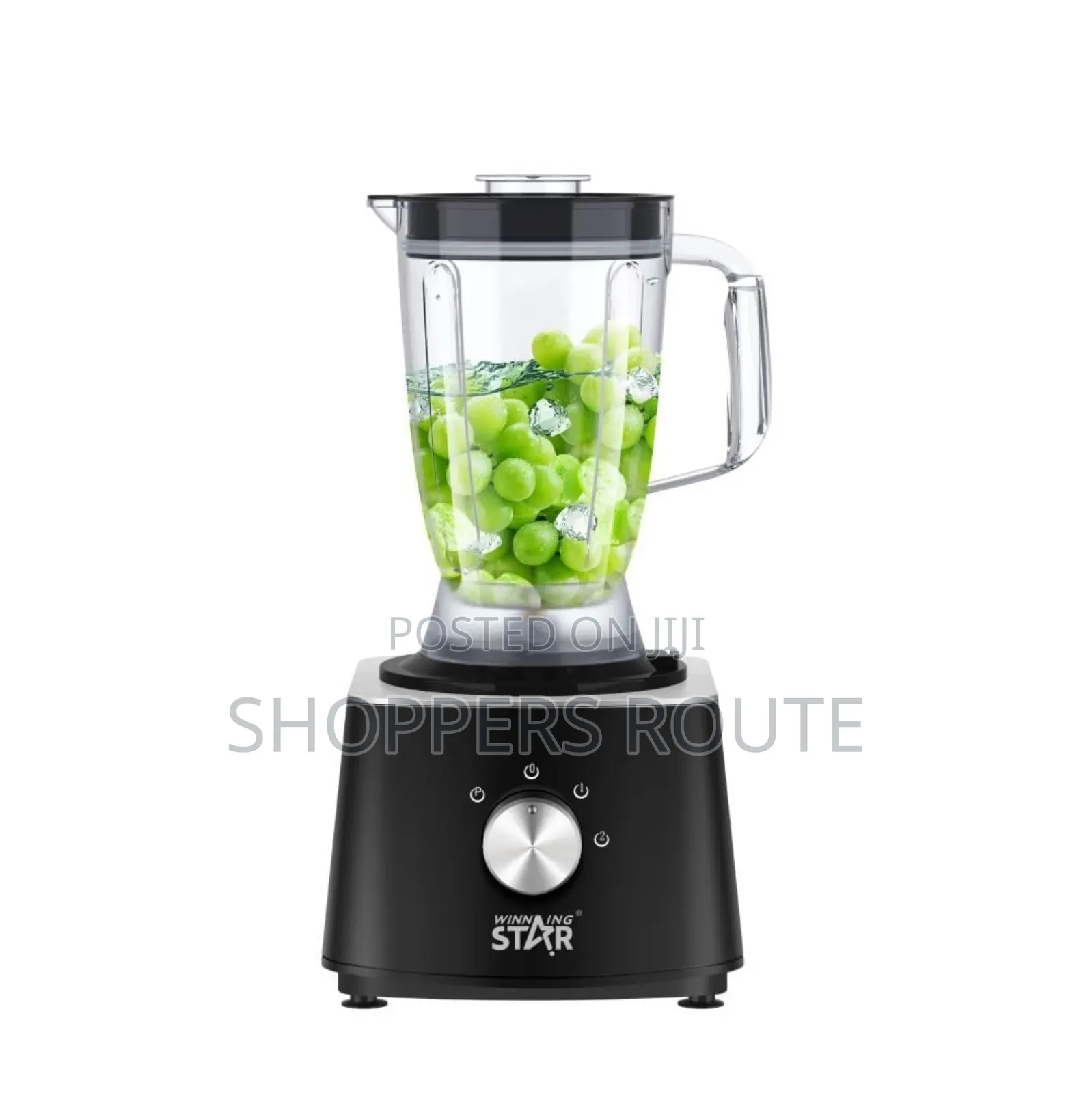 Winning Star 10 in 1 Multifunctional Food Processor St 5588