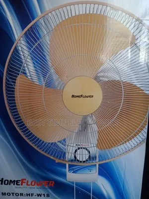 18" Homeflower Electrical Wall Mount Fan