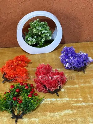Bansai Potted Flowers for Home Decor and Special Occasions