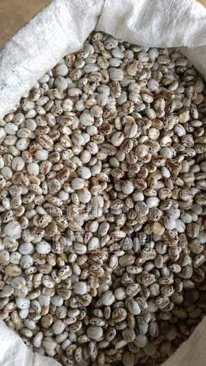 Castor Seed (1kg) Organic