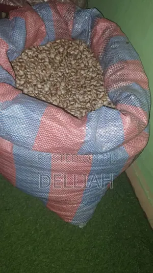 Castor Seed (1kg) Organic