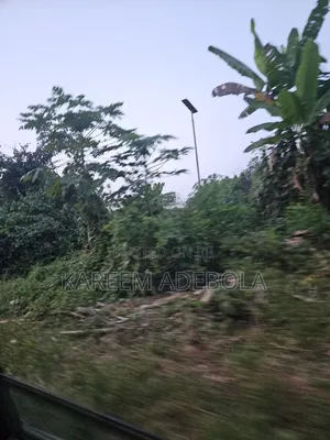 Available Land at Asokoro Main Abuja