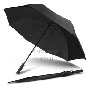 Auto Umbrella for All Conditions.