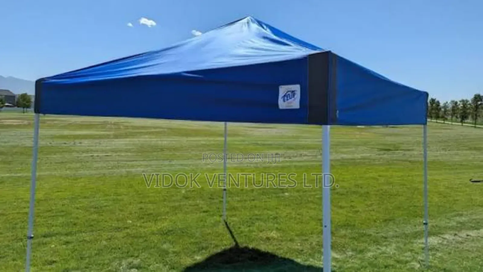 Adjustable/Collapsible Canopy for Outdoor Event