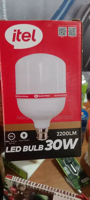 30watt Light Bulb High