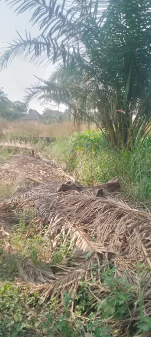 Land For Sale At Akpoga Emene Eke