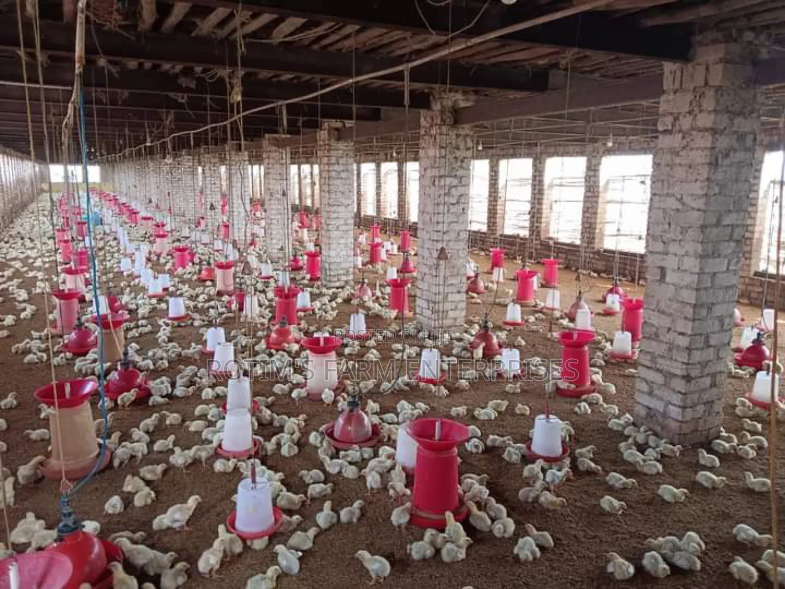 Poultry House