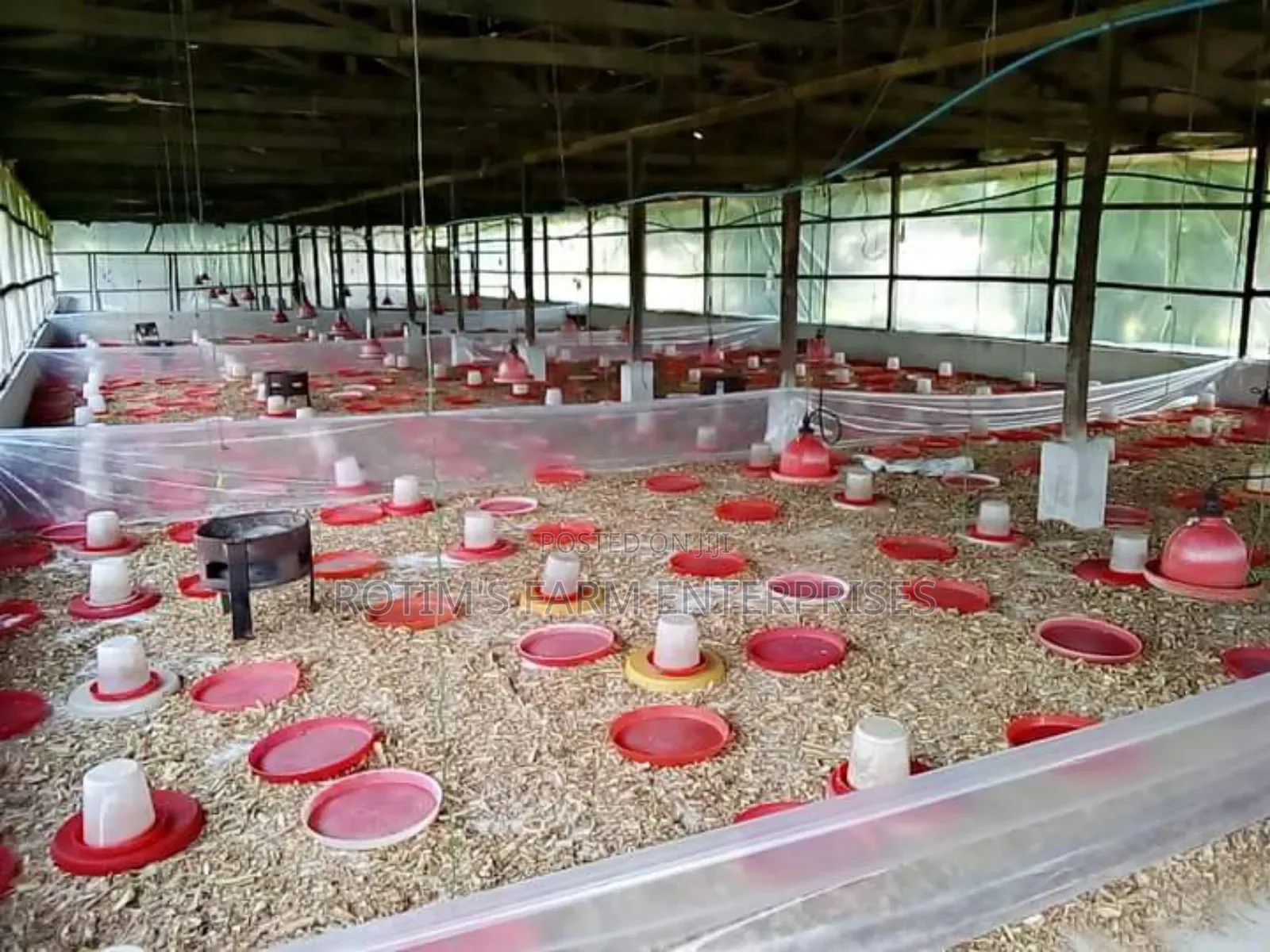 Poultry House