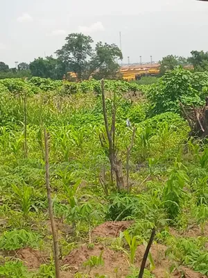 A Plot of Land at Akinyele