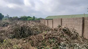 Standard Plot of Land for Sale