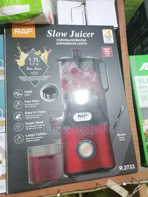 Good Quality Raf Slow Juicer