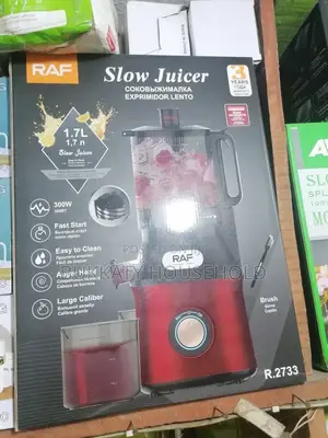 Good Quality Raf Slow Juicer