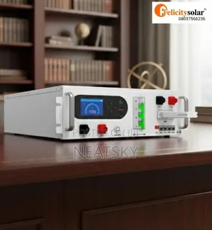 Flh Bms (Flh48100ucg1)