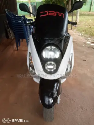 SYM Joymax 2010 White
