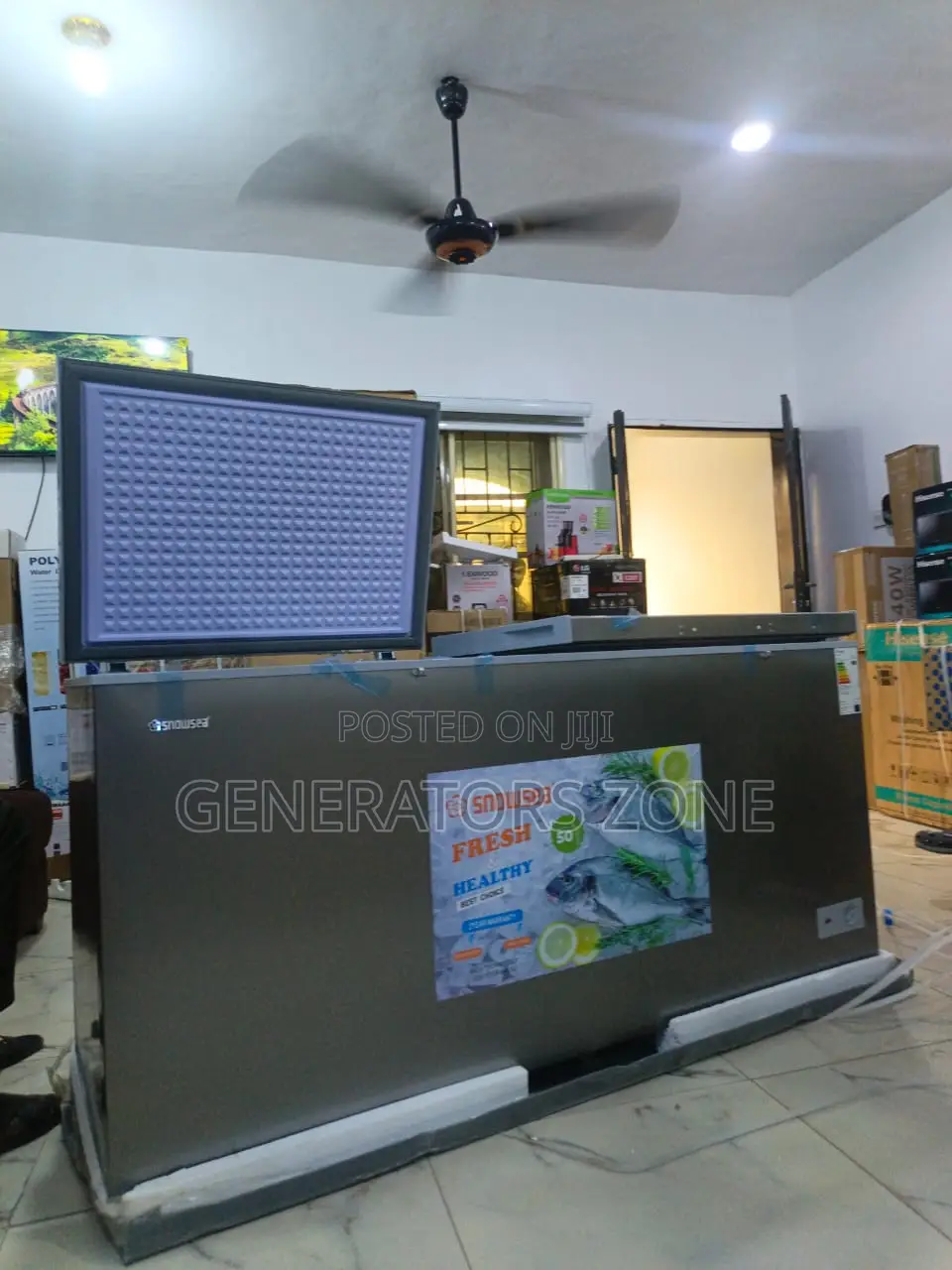 Snowsea 520l Bd-700 Freezer Thick Insulation