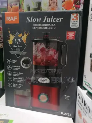 Good Quality Raf Slow Juicer
