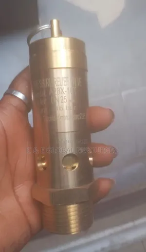1" Safety Air Relief Valve (16bar)