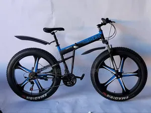 Foldable Alloy Wheel Big Tire Bike