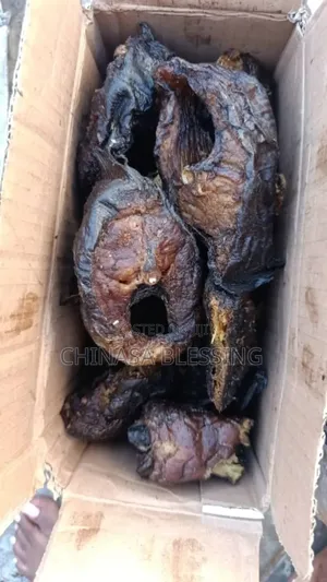 30 Pieces of Asa Mangala