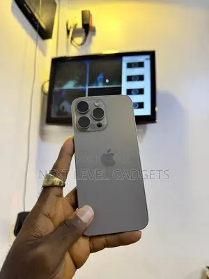 Apple iPhone 15 Pro Max 256 GB Gray