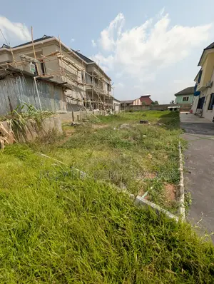 1 Plot of Commercial Land in Engr Lere Adigun Gra