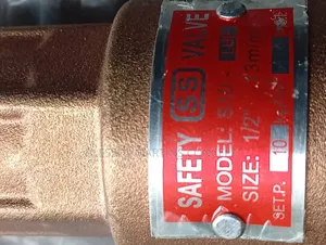 1/2" Automatic Safety Valve