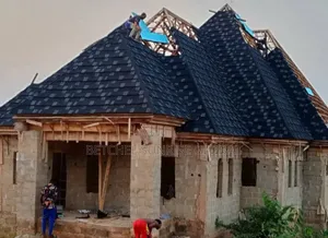 Shingles Design Black