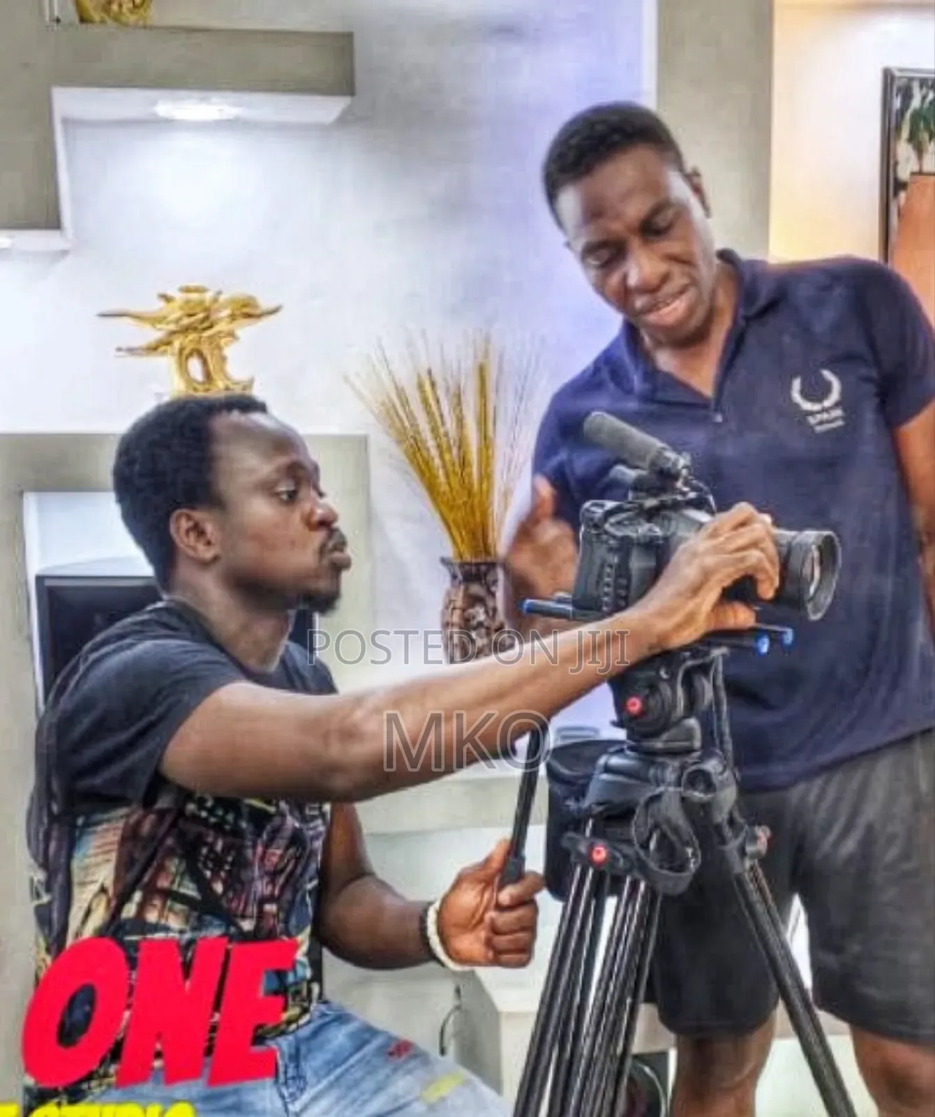 Cinematographer and Videographer