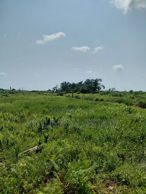3600sqm ( One Acer) Commrcial Land Facing Alakuko Road