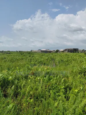 22 Plots of Commercial Land Oshodi Mushin Expressway