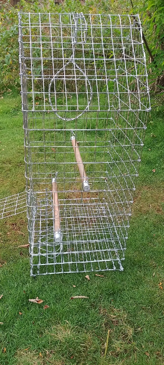 Parrot Cage
