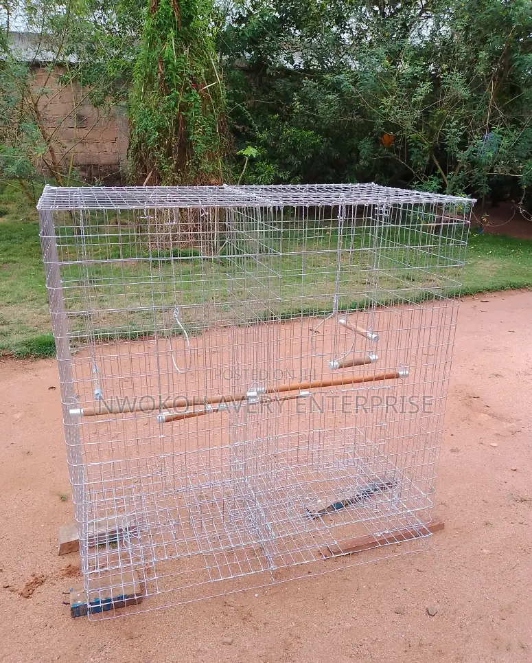 Parrot Cage