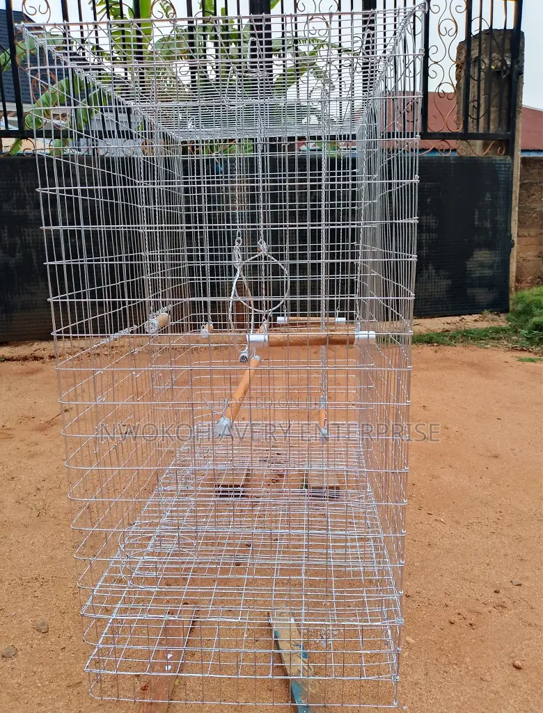 Parrot Cage