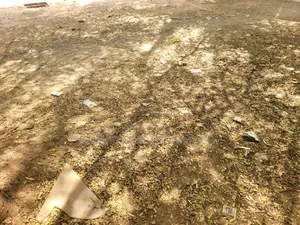 150 Hectares of Land for Sale at Wasa District With R of O for 17 Bil