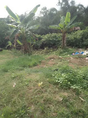 Land for Sale at Mojisola Onikoyi