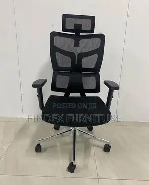 Executive Ergonomic Chair