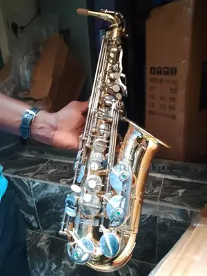 Selmer Alto Saxophone