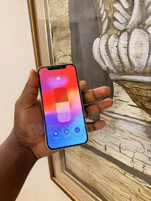 Apple iPhone 12 64 GB Green