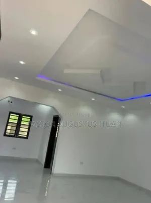 Gracious Painters and Screeders Plug