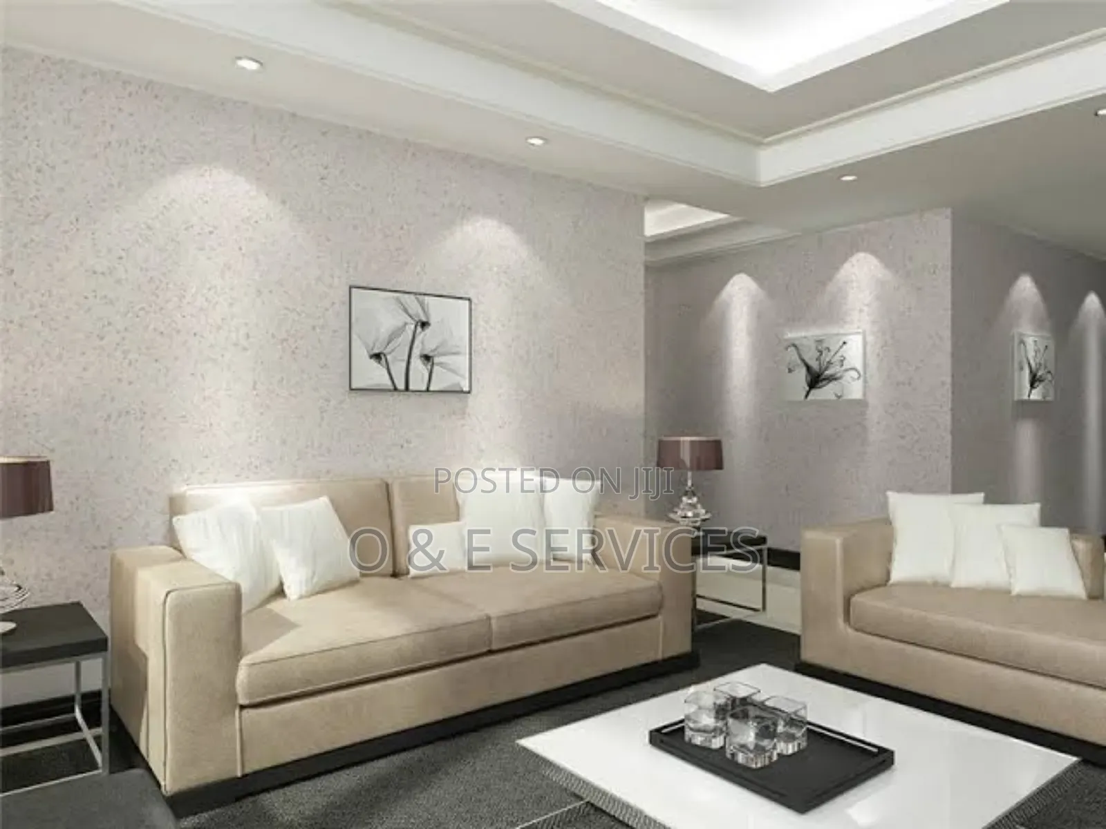 Professional Painter And Cleaner