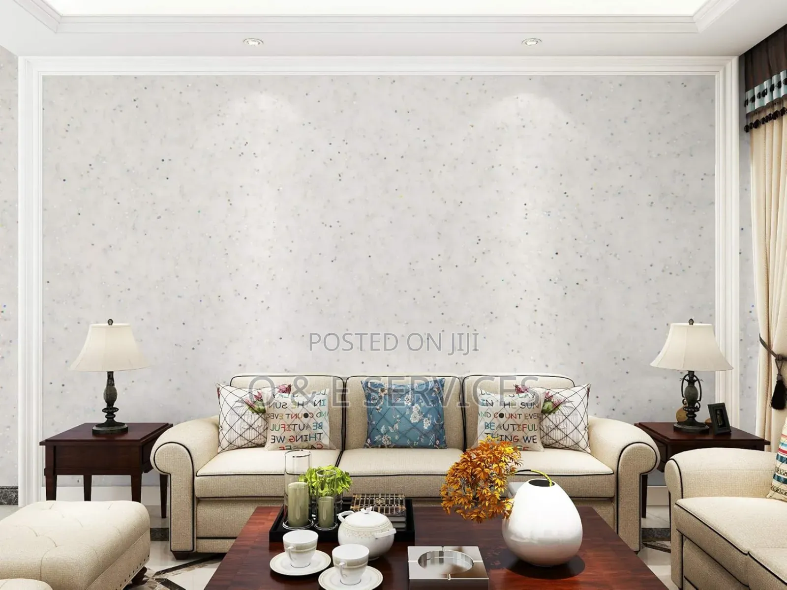 Professional Painter And Cleaner