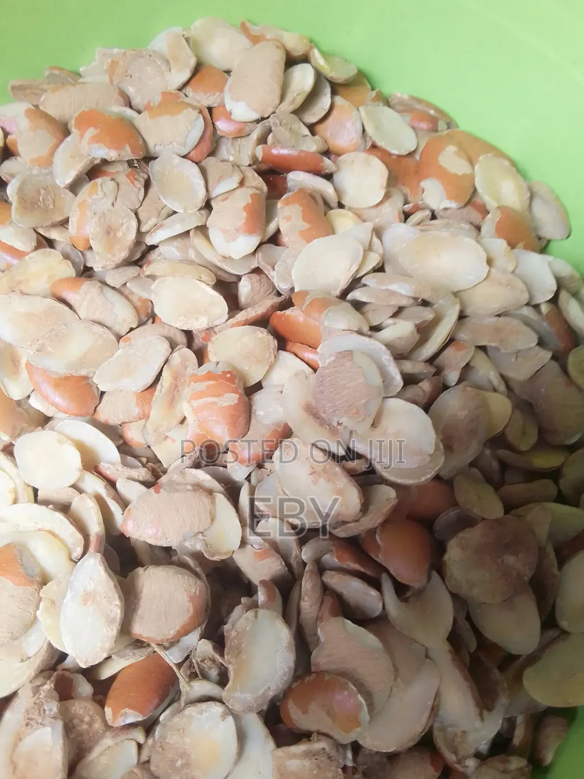 Oven Dried Snail and Periwinkle