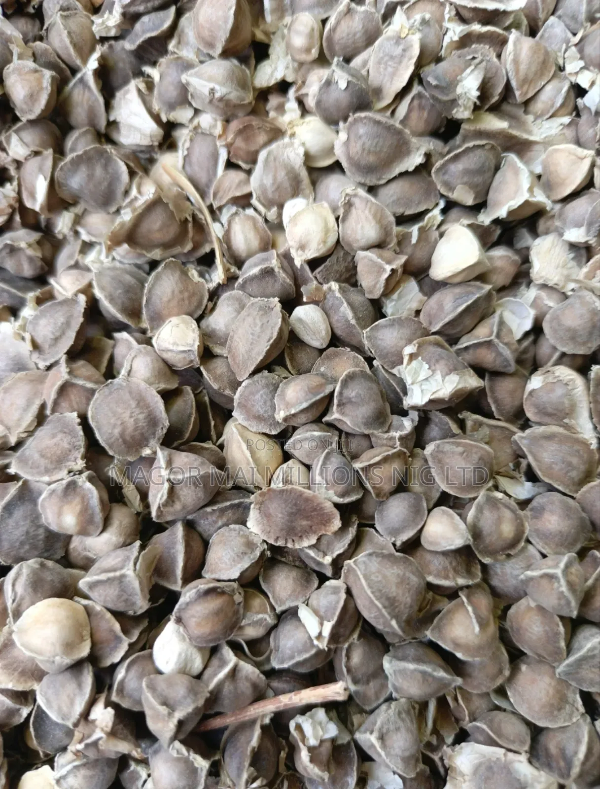 High Quality Seeds (Check Description for Prices)