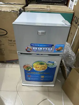 Brand New Polystar Double Door Refrigerator Full Coper Enginewarranty